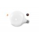 Żarówka LED WiFi E27 Globe 15W AZzardo Smart